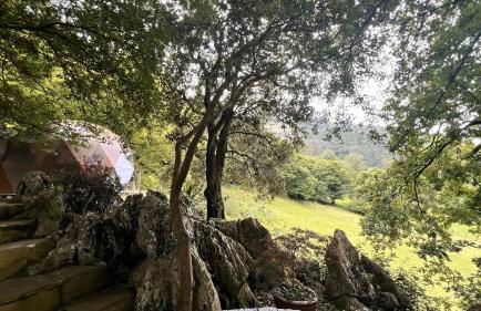 Domocantabria - Foto 98