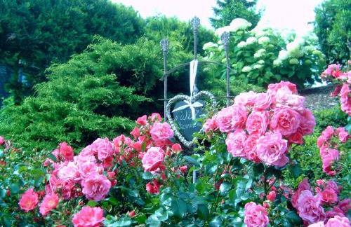 Gästehaus Heidi - Foto 34