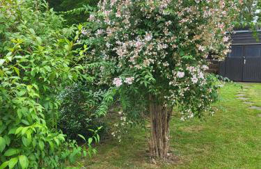 Haus am Wiek - Foto 27