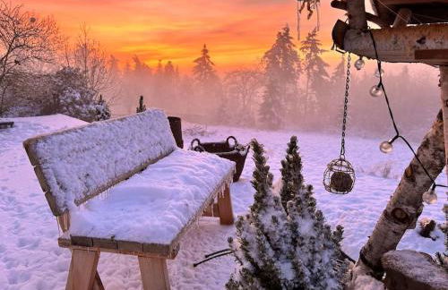 Mosel Urlaub Stabenhof - Whirlpool, Natur und Grill - Foto 68