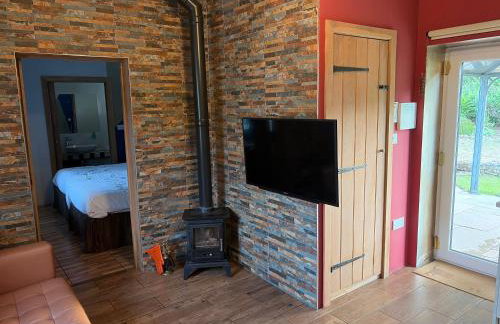 Glan Llyn Farm House - Foto 39