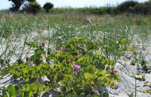 Ostsee-Engel - Foto 20
