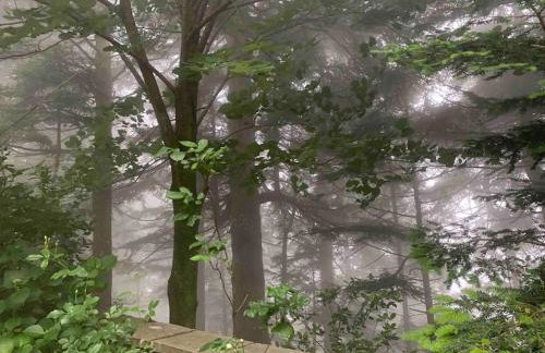 Forest cottage top of the world - Foto 53