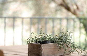 DION APARTMENTS - Photo 13