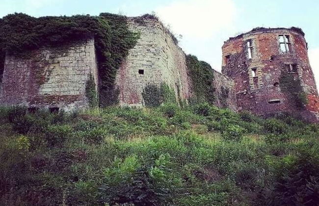 Spacious Holiday Home in Doische With Private Pool - Foto 42