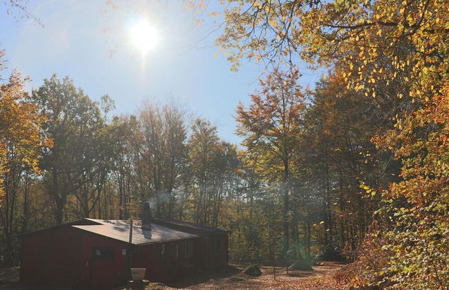 4 Person Holiday Home in Skanes-fagerhult-by Traum - Foto 20