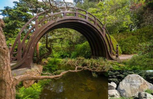 Stunning SanFran Casa close to Center and steps from Ocean - Foto 48