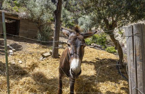 Villa Son 3 - Foto 31