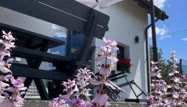 Sielsko Anielsko - Foto 4