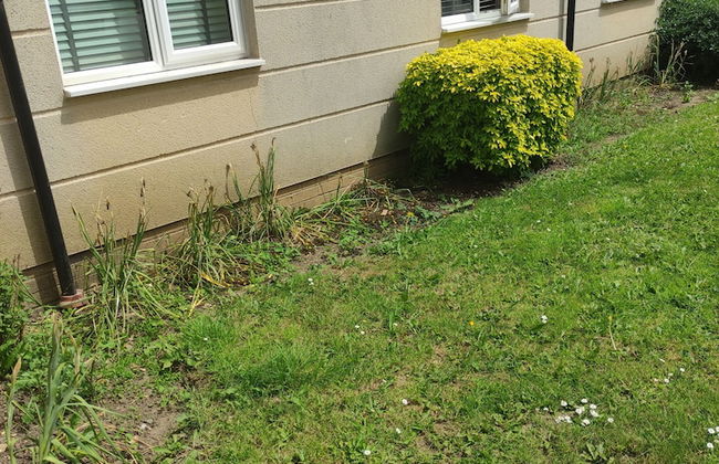 Immaculate 1-bed Apartment in Borehamwood - Foto 13