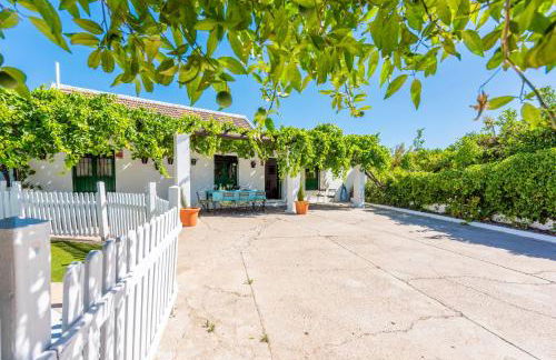 Huerta la Pimentada - Foto 70