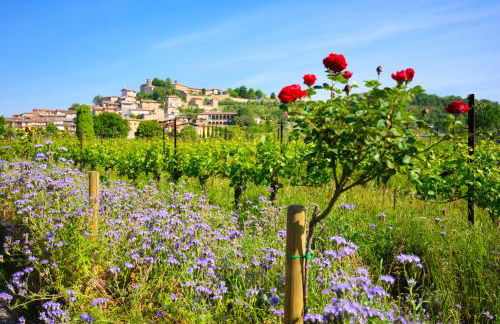 Corte Lantieri - Photo 29