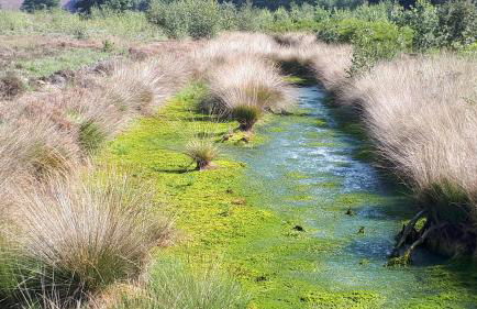 Ankerplatz - Foto 29