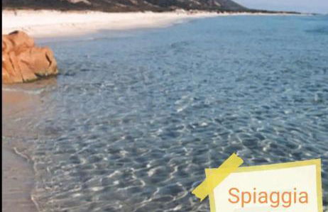 Ila La Caletta - Photo 24