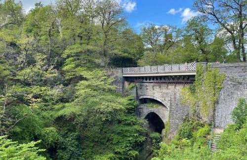 Little Curlew, Ynyslas, Borth - Foto 38
