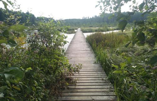 Zacisze Markowszczyzna - Foto 52