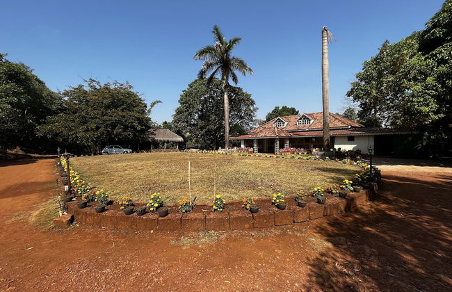 Forest Trails Adventure Resort - Foto 27