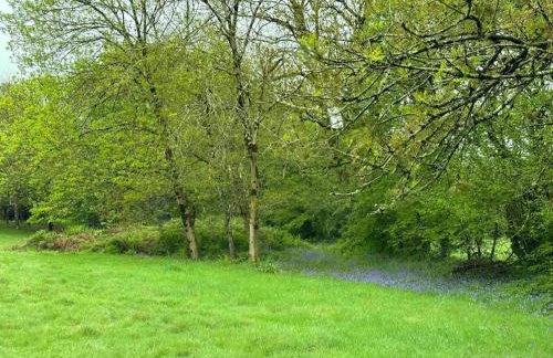 Cornwall Woodland Shepherd's Hut with Hot Tub - Deirdres Hut - Foto 28