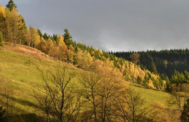 Enchanting Holiday Flat in the Harz Mountains - Foto 24