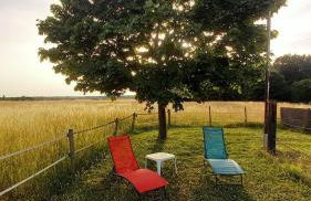 Country house for animals and nature lovers - Photo 16