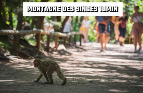 Un air de campagne - Foto 24