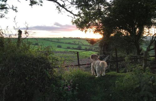 Higher Trewithen - Photo 42