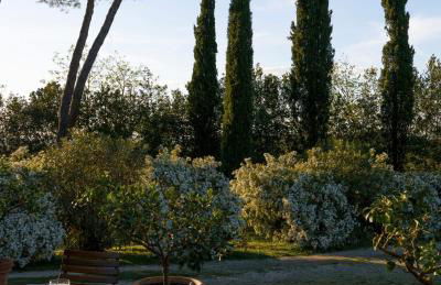 Villa Cozzano - Foto 44