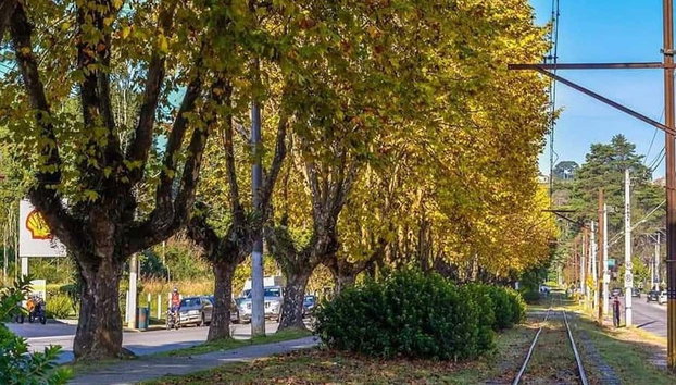 Tour panorámico por Campos do Jordão - Foto 3