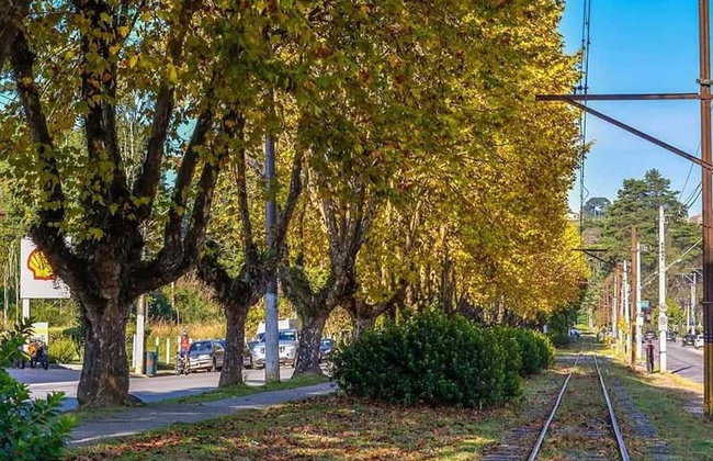 Tour panorámico por Campos do Jordão - Foto 3