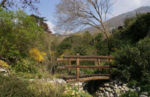 Tra Cielo e Lago - Photo 21