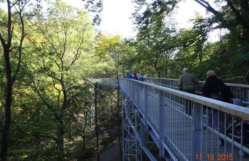 Am Wäldchen - Foto 14