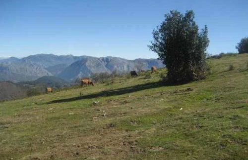 Apartamentos Valdecarzana Senda del Oso - Foto 8