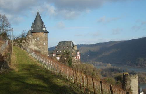 Schau-Rhein#1 - On top of Bacharach, Rhineview - Photo 29
