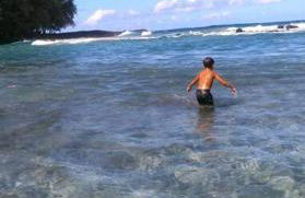 Pahoehoe- Hale Kumu La'au at Volcano - Photo 23