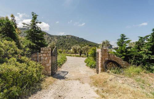 Los Olivos V.I.P Poolvilla Kritinia - Foto 74