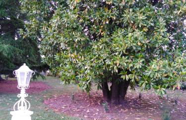 La maison basque - Foto 16