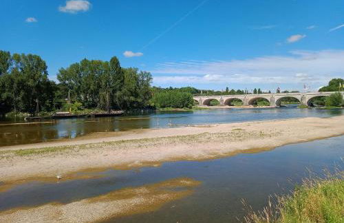 L'âme de la Renaissance Plumereau - PARKING PRIVÉ - Foto 22