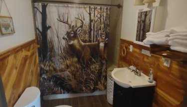 Tranquil Waters Cabin - Foto 3