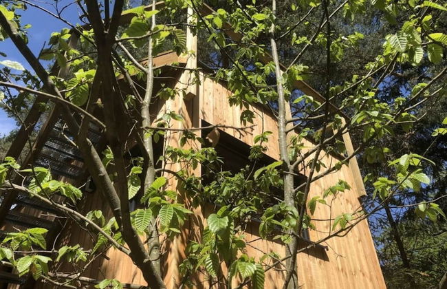 Holiday Home Under the Trees - Photo 35