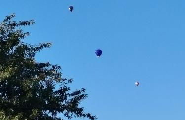 Closerie de Montaimé - Foto 28