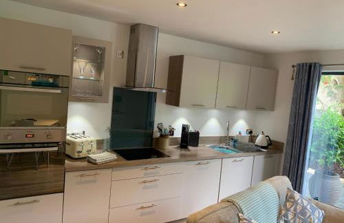 Oystercatcher, Pityme - Foto 9