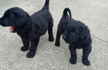 CHILL & ZEN - Caserío Itxaiz - - Photo 24