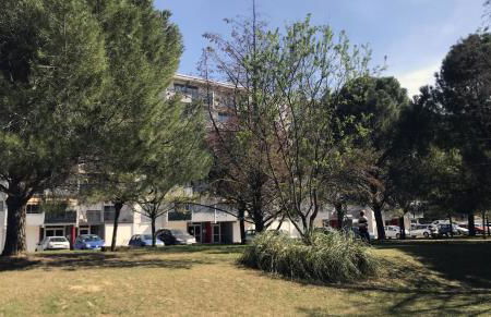 Studio Soleil et Verdure - Montpellier Celleneuve - Foto 17