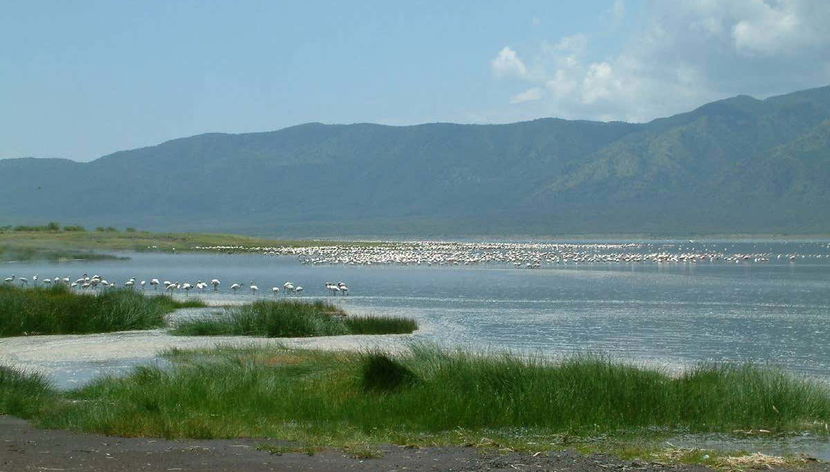 Excursión privada de 2 días al Lago Bogoria - Foto 2, Paisaje en un día despejado del Lago Bogoria