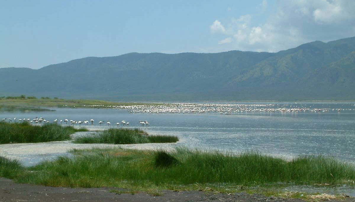 Paisaje en un día despejado del Lago Bogoria