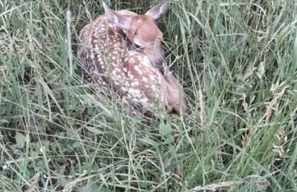 Holiday Apartment Hanal-hof - Photo 10