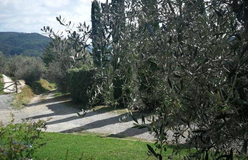 casa marconi - Foto 27