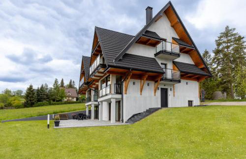 Willa Watra, Jacuzzi wewnętrzne, sauna i bilard na wyłączność - Foto 39