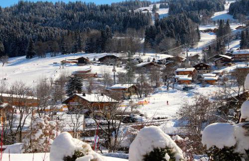 appartement 103m2 près de Megève, face à télécabine la Princesse,2 chambres , garage, local à ski - Foto 43