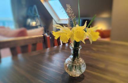 Achalochan House - Foto 15